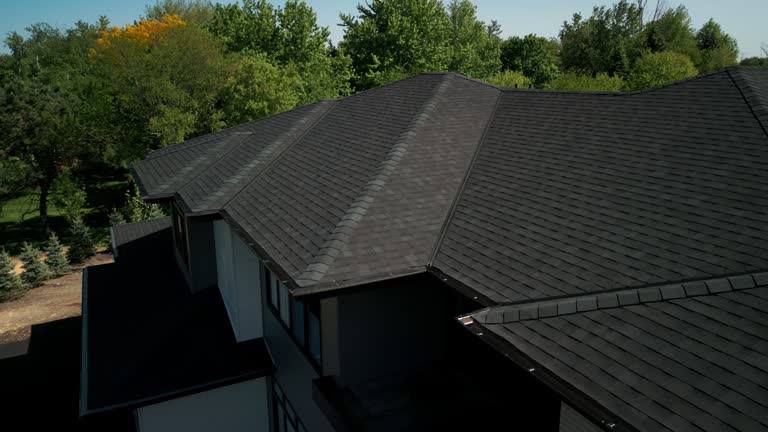 Best Roof Moss and Algae Removal  in Portola, CA