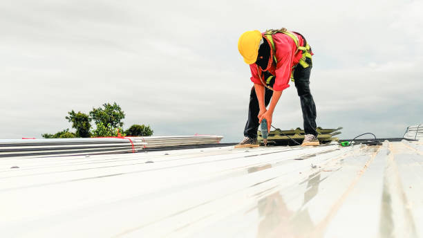 Professional Roofing Services in Portola, CA