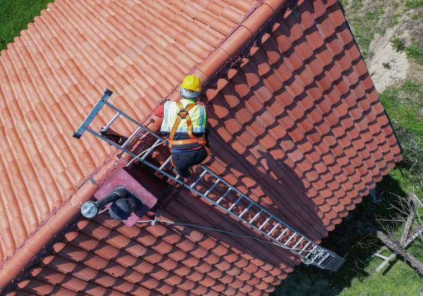 Best Chimney Flashing Repair  in Portola, CA